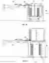 Fig. 06 - System for handling slides