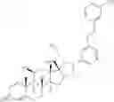 Fig. 211 - Glucocorticoid receptor agonists