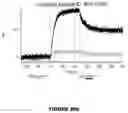 Fig. 197 - ANTIGEN-BINDING PROTEIN CONSTRUCTS AND USES THEREOF