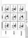 Fig. 19 - SSEA-4 BINDING MEMBERS