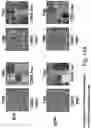 Fig. 34 - SSEA-4 BINDING MEMBERS