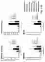 Fig. 58 - SSEA-4 BINDING MEMBERS