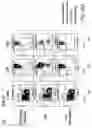 Fig. 64 - SSEA-4 BINDING MEMBERS