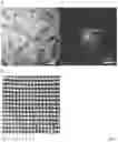 Fig. 09 - METHOD FOR THE SYNTHESIS OF A TWO-DIMENSIONAL OR QUASI-TWO-DIMENSIONAL POLYMER FILM, THE TWO-DIMENSIONAL OR QUASI-TWO-DIMENSIONAL POLYMER FILM AND THE USE