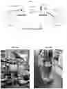 Fig. 04 - SYSTEMS AND METHODS FOR EFFECTIVE DIAGNOSTIC OLIGONUCLEOTIDE DETECTION