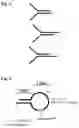 Fig. 05 - Linked paired strand sequencing