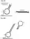 Fig. 15 - Linked paired strand sequencing