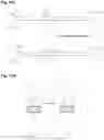Fig. 25 - Linked paired strand sequencing