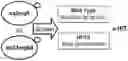 Fig. 01 - COMPOSITION AND METHOD FOR INHIBITING BORC COMPLEX TO TREAT CANCERS WITH NF1 DEFICIENCY AND DYSREGULATED RAS SIGNALING