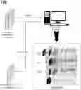 Fig. 01 - Method and device for generating fat suppression magnetic resonance image using generative adversarial neural network based on the Bloch equation