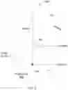 Fig. 04 - System of morphology recognition for optimizing RF propagation model