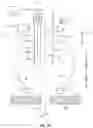 Fig. 02 - SINGLE PORT INSTRUMENT ACCESS DEVICE