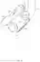 Fig. 07 - Orthodontic devices