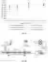 Fig. 16 - DEVICE, METHODS AND USES FOR TREATING ANAPHYLAXIS