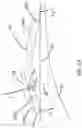 Fig. 14 - Knife assemblies of slicing machines, methods of clamping and releasing knives therefrom, and slicing machines equipped therewith