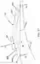 Fig. 16 - Knife assemblies of slicing machines, methods of clamping and releasing knives therefrom, and slicing machines equipped therewith