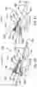 Fig. 20 - Knife assemblies of slicing machines, methods of clamping and releasing knives therefrom, and slicing machines equipped therewith
