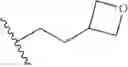 Fig. 586 - MTORC1 modulators and uses thereof