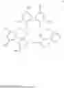 Fig. 06 - Diphosphites with an open, 3-methylated outer unit