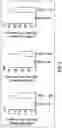 Fig. 04 - METHODS AND COMPOSITIONS FOR TREATMENT OF NEURODEGENERATION