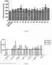 Fig. 04 - ANTI-B7-H3 ANTIBODY AND APPLICATION THEREOF