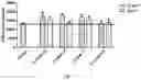 Fig. 05 - ANTI-B7-H3 ANTIBODY AND APPLICATION THEREOF