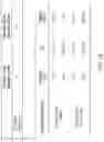 Fig. 18 - DEVICE AND METHOD FOR GENETIC ANALYSIS OF PLANT MATERIALS IN REMOTE TESTING SITES