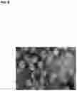 Fig. 09 - Methods of producing and characterizing virus vaccine and virus vaccine composition