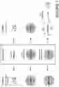 Fig. 02 - Compostable silica encapsulation of oligonucleotides for long-term storage