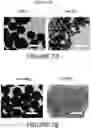 Fig. 09 - Compostable silica encapsulation of oligonucleotides for long-term storage