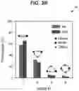 Fig. 09 - SYSTEM AND METHOD FOR ESTIMATING ELECTRIC VEHICLE CHARGE NEEDS AMONG A POPULATION IN A REGION