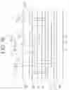 Fig. 40 - Organic light emitting diode display device