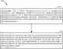 Fig. 01 - OUT OF ORDER HYBRID AUTOMATIC REPEAT REQUEST (HARQ) TRANSMISSION IN PRESENCE OF DEFERRED SEMI-PERSISTENTLY SCHEDULED (SPS) PHYSICAL UPLINK CONTROL CHANNEL (PUCCH) HARQ