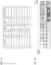 Fig. 03 - Terminal and radio communication method