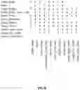 Fig. 07 - Method and apparatus for identifying a single user requesting conflicting content and resolving said conflict