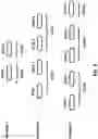 Fig. 09 - Single cell multicast traffic channel scheduling between two base stations