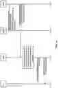 Fig. 16 - Single cell multicast traffic channel scheduling between two base stations