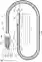 Fig. 07 - MULTI-SENSOR CATHETER FOR RIGHT HEART AND PULMONARY ARTERY CATHETERIZATION