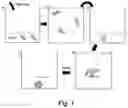 Fig. 02 - COMPOSITE POWDER WITH IRON BASED PARTICLES COATED WITH GRAPHENE MATERIAL