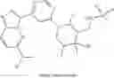 Fig. 1122 - GCN2 INHIBITORS AND USES THEREOF