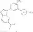 Fig. 2113 - GCN2 INHIBITORS AND USES THEREOF