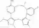 Fig. 294 - HETEROAROMATIC MACROCYCLIC ETHER CHEMOTHERAPEUTIC AGENTS