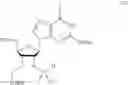 Fig. 167 - CYCLIC DI-NUCLEOTIDE COMPOUNDS AND METHODS OF USE