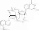 Fig. 356 - CYCLIC DI-NUCLEOTIDE COMPOUNDS AND METHODS OF USE