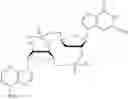 Fig. 362 - CYCLIC DI-NUCLEOTIDE COMPOUNDS AND METHODS OF USE