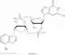 Fig. 367 - CYCLIC DI-NUCLEOTIDE COMPOUNDS AND METHODS OF USE