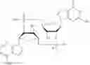 Fig. 45 - CYCLIC DI-NUCLEOTIDE COMPOUNDS AND METHODS OF USE