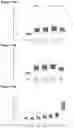 Fig. 14 - DOSE