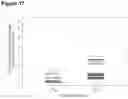 Fig. 18 - DOSE