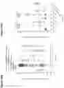 Fig. 33 - DOSE